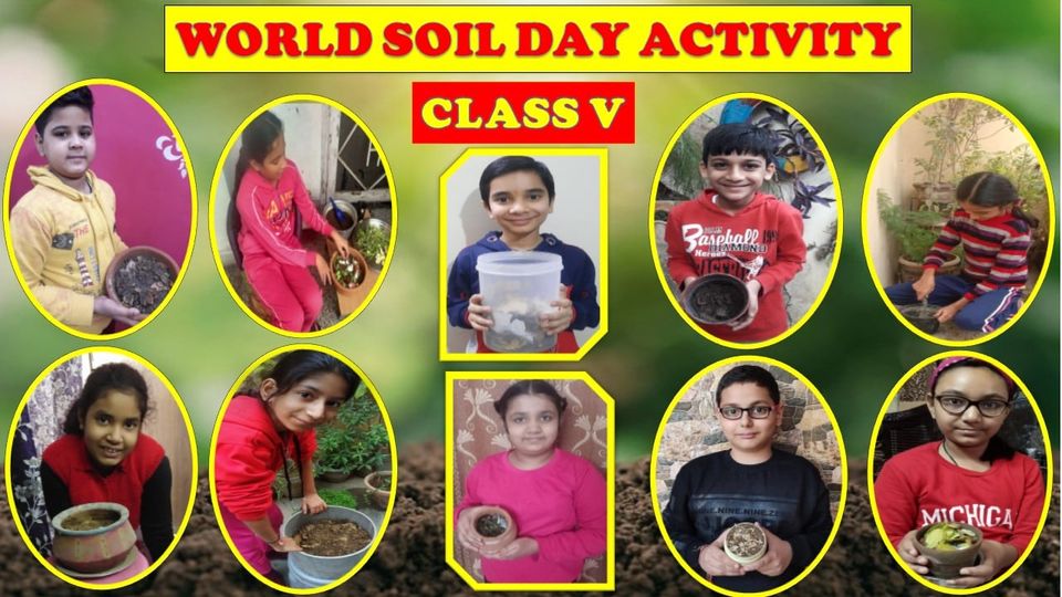 World Soil Day Activity